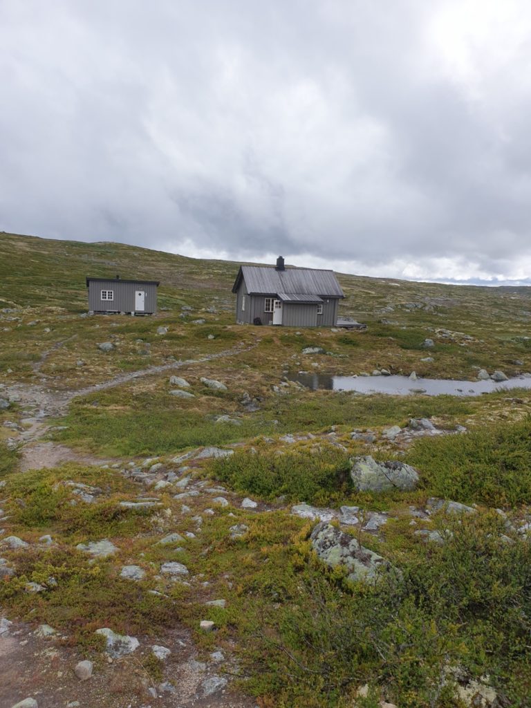 Havutsikt